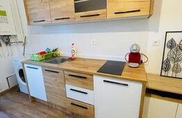 Apartament 2 camere, 42 mp, parcare, etaj intermediar, zona Terra