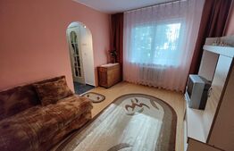 Apartament de 3 camere, 47mp, semidecomandat, zona Parang