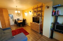 Apartament de 2 camere, decomandate, 60 mp, zona strazii Albac
