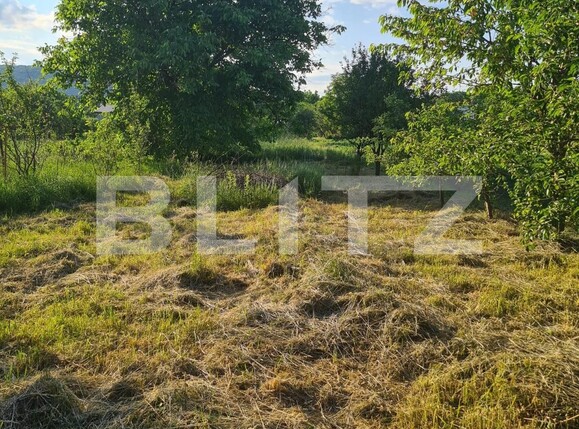 Casa de vânzare 3 camere Gilău - 99224CV | BLITZ Cluj-Napoca | Poza8