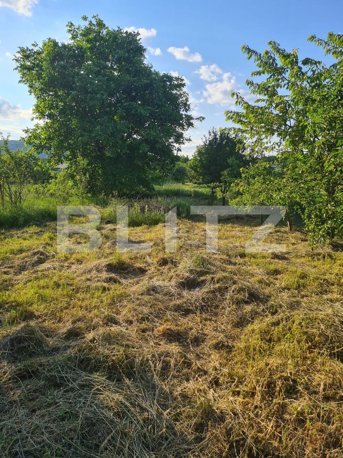 Casa de vânzare 3 camere Gilău - 99224CV | BLITZ Cluj-Napoca | Poza8