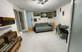 Imobil pentru birouri sau clinica, 300 mp, terasa, 10 parcari, Dambul Rotund