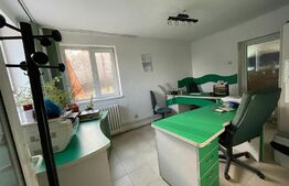 Imobil pentru birouri sau clinica, 300 mp, terasa, 10 parcari, Dambul Rotund