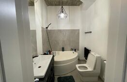 Imobil pentru birouri sau clinica, 300 mp, terasa, 10 parcari, Dambul Rotund