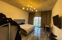 Imobil pentru birouri sau clinica, 300 mp, terasa, 10 parcari, Dambul Rotund