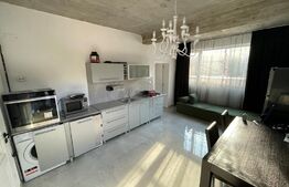 Imobil pentru birouri sau clinica, 300 mp, terasa, 10 parcari, Dambul Rotund