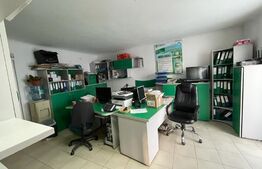 Imobil pentru birouri sau clinica, 300 mp, terasa, 10 parcari, Dambul Rotund