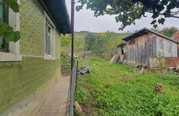 Casa de 60 mp, teren 1000 mp, Mera