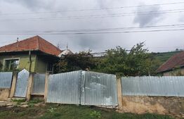 Casa de 60 mp, teren 1000 mp, Mera