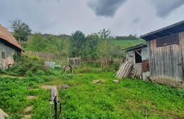 Casa de 60 mp, teren 1000 mp, Mera