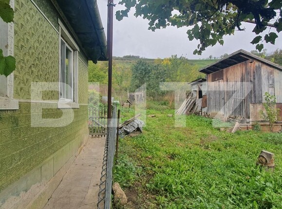 Casa de vânzare 1 camera Baciu - 99384CV | BLITZ Cluj-Napoca | Poza3
