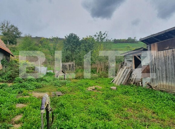 Casa de vânzare 1 camera Baciu - 99384CV | BLITZ Cluj-Napoca | Poza2