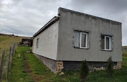 Teren 2100 mp, + constructie locuinta 54 mp, Salicea