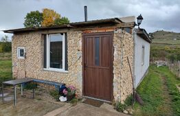 Teren 2100 mp, + constructie locuinta 54 mp, Salicea