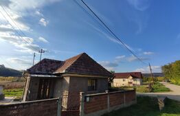 Casa de vanzare, 3212 mp teren, In Caianu-Vama!