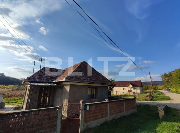 Casa de vânzare 2 camere Căianu-Vamă - 99397CV | BLITZ Cluj-Napoca | Poza6