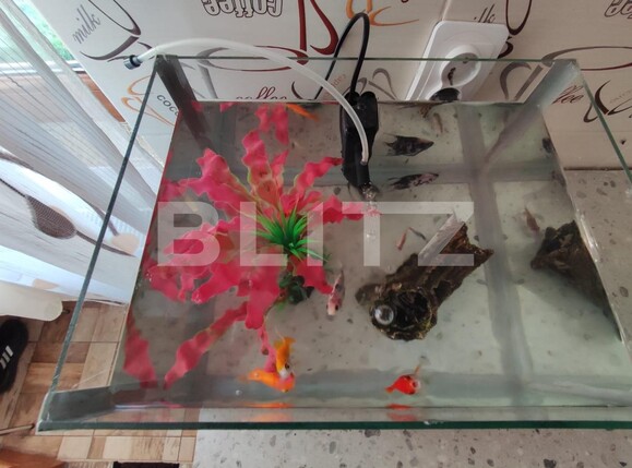 Casa de vânzare 2 camere Căianu-Vamă - 99397CV | BLITZ Cluj-Napoca | Poza4