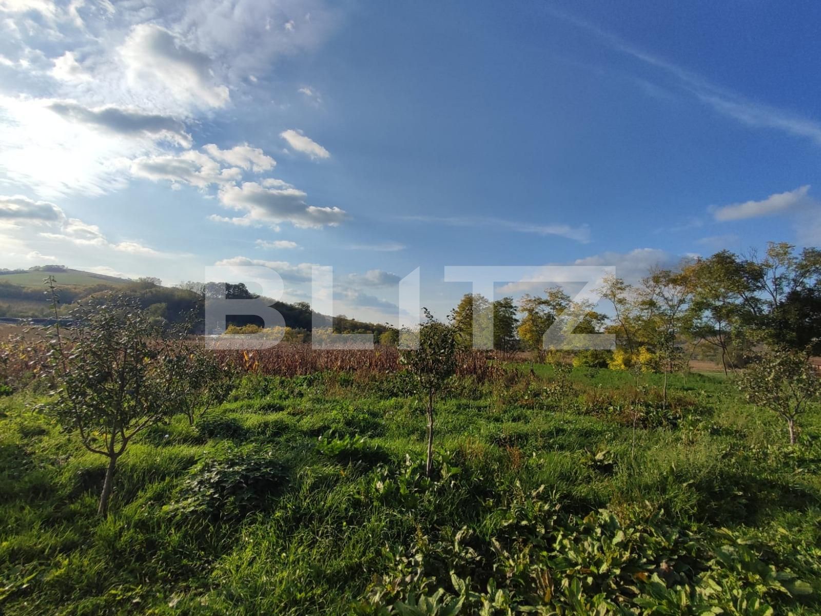 Casa de vânzare 2 camere Căianu-Vamă - 99397CV | BLITZ Cluj-Napoca | Poza7