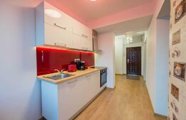 Apartament de 2 camere, 55mp, lux, zona Piata Mihai Viteazu