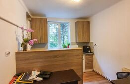 Apartament 2 camere decomandate, 52 mp, zona străzii Titulescu