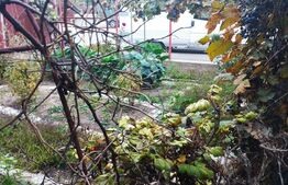 Oportunitate! Casa tip duplex 80 mp utili, 300 mp teren, Grigorescu