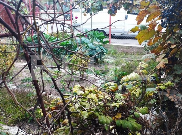 Casa de vânzare 3 camere Grigorescu - 99462CV | BLITZ Cluj-Napoca | Poza2