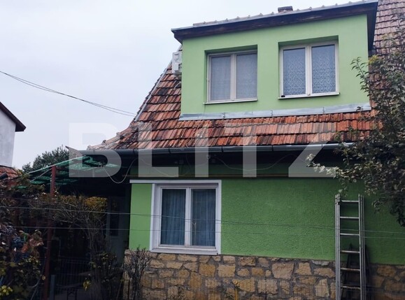 Casa de vânzare 3 camere Grigorescu - 99462CV | BLITZ Cluj-Napoca | Poza1