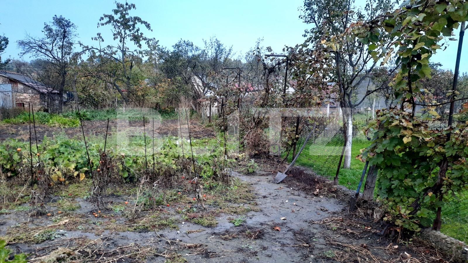 Casa de vânzare 2 camere  - 99486CV | BLITZ Cluj-Napoca | Poza13