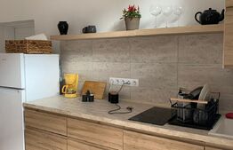 Garsoniera de 39 mp, mobilata și utilata, zona Ultracentrală