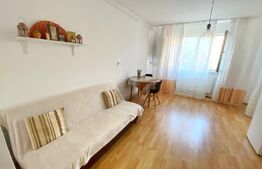 Garsoniera cocheta, 21 mp, etaj intermediar, zona Fabricii 