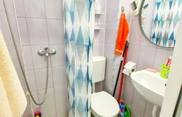 Garsoniera cocheta, 21 mp, etaj intermediar, zona Fabricii 