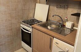 Garsonieră 21 mp, mobilată și utilată, zona Fabricii