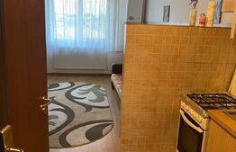 Garsonieră 21 mp, mobilată și utilată, zona Fabricii