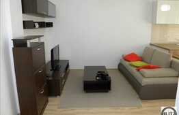 2 camere, 45 mp, mobilat modern, imobil nou, zona strazii Mircea Eliade