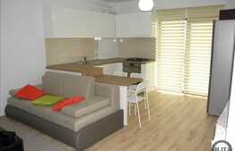 2 camere, 45 mp, mobilat modern, imobil nou, zona strazii Mircea Eliade