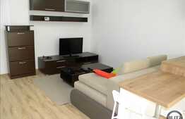 2 camere, 45 mp, mobilat modern, imobil nou, zona strazii Mircea Eliade