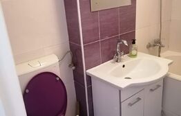 Garsoniera de 28 mp, etaj intermediar, panorama, zona Detunata