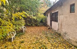 Oportunitate! Casa 140 mp, teren de 401 mp, zona Septimiu Albinii