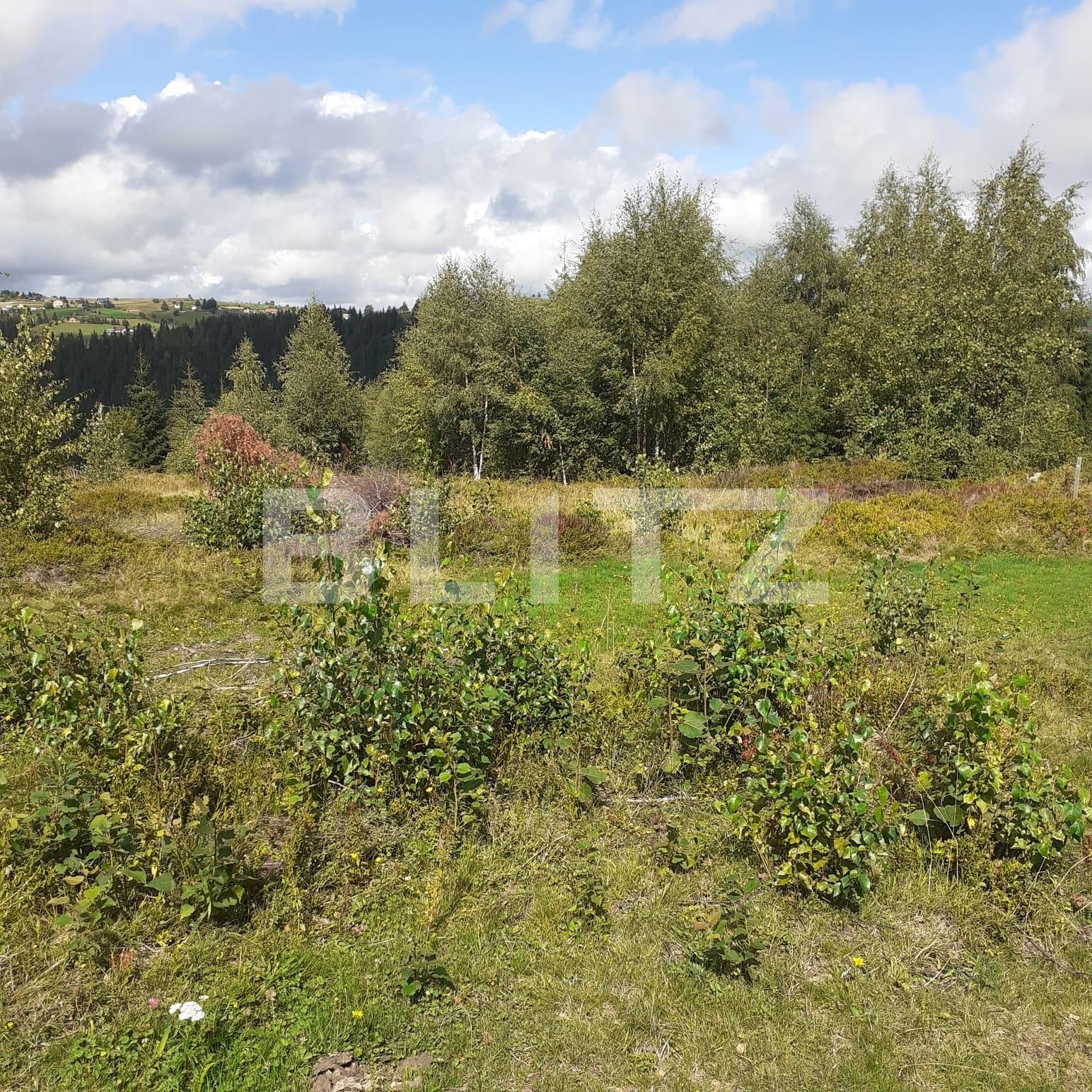 Teren de vânzare Exterior Vest - 99606TV | BLITZ Cluj-Napoca | Poza2