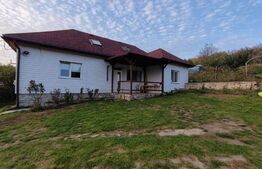 Casa individuala 135 mp, teren 500 mp, Dezmir