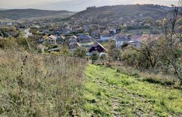 Casa individuala 135 mp, teren 500 mp, Dezmir