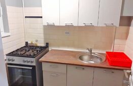 Garsoniera de 24 mp, etaj intermediar, zona Piata Mihai Viteazul