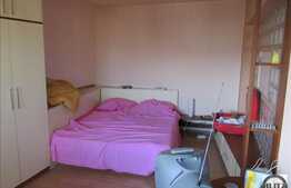 Apartament 1 camera, 29,54 mp utili, complet mobilat, zona Piata Marasti!