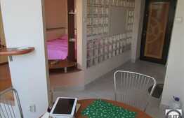 Apartament 1 camera, 29,54 mp utili, complet mobilat, zona Piata Marasti!