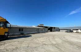 Hala industriala 200/500 mp,  Valea Chintaului