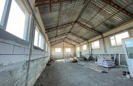 Hala industriala 200/500 mp,  Valea Chintaului