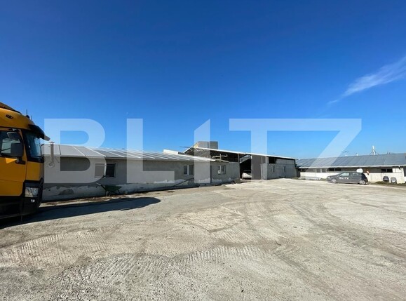 Spațiu industrial de închiriat Chinteni - 99666SII | BLITZ Cluj-Napoca | Poza3