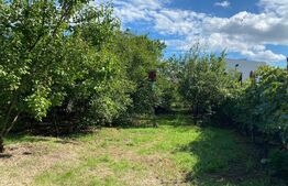 Casa individuala, teren 1122mp, Traian Vuia 