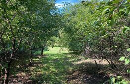 Casa individuala, teren 1122mp, Traian Vuia 