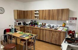 Casa individuala, teren 1122mp, Traian Vuia 